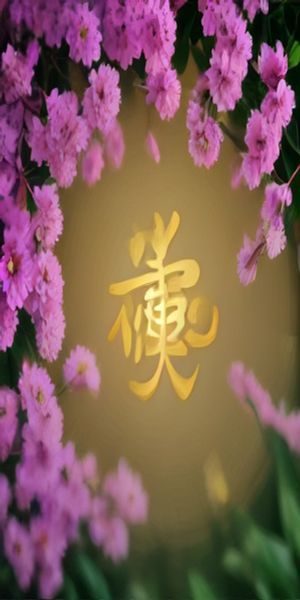 桃花 App 的品种识别结果页，显示二乔桃的详细信息，包括花瓣数和花色特征，背景是户外桃林